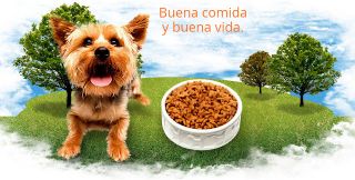 clinicas veterinarias en trujillo Veterinaria Framer